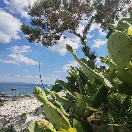 Apartman House Bella Vista Trogir